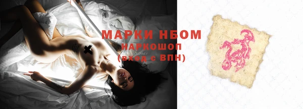 гидра Новозыбков