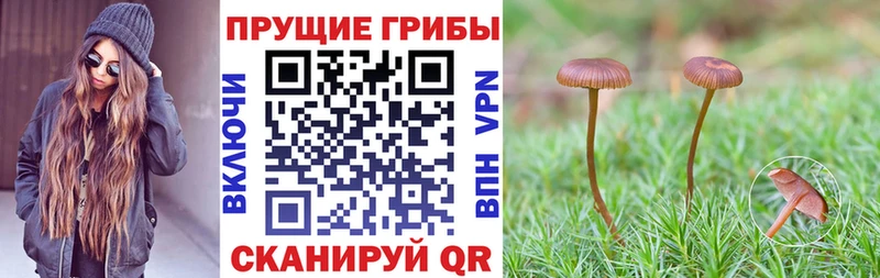 Псилоцибиновые грибы мухоморы  Покачи 